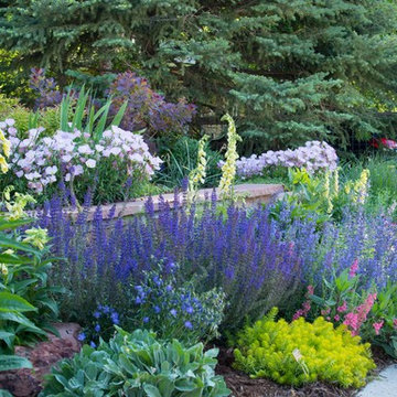 Butterflies and Bees love this front yard!