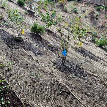 Stabilising the hillside