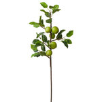 Serene Spaces Living - Serene Spaces Living Green Apple Branch, Set of 6 - For a different (non-floral) and unique vibe at your fall wedding, try using our Green Apple Branches in an arrangement. We totally love the green on green look. Each branch has 5 green apples. This works well at a store or window display or for fall decor at home. Sold as a set of 6, length of the branch is 17", the length of the leaf is 17" and the diameter side to side 5". Like all our products, this one too is made with love by Serene Spaces Living.