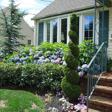 Front Yard Renovation - Audubon, NJ