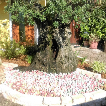 Le nostre realizzazioni