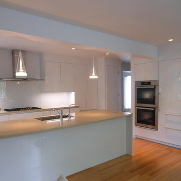 Zephyr Layers Wall Range Hood
