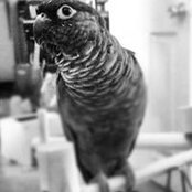 Stephen Mangun's photo