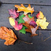 Yongling Lu's photo