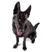 Lloyd Kasakoff's photo