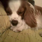 Alessandra Villegas's photo