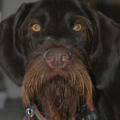 Blair Henderson's photo