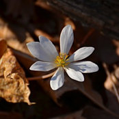 Jill Mansbarger's photo