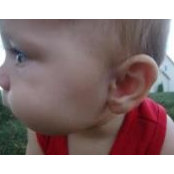 Stacy Apfel's photo