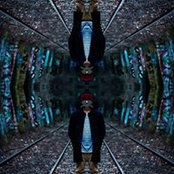 David Potsh's photo