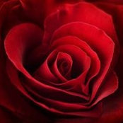 Terri Duryea's photo