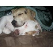 Elizabeth Colombini's photo