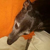 Clare Stubbs's photo