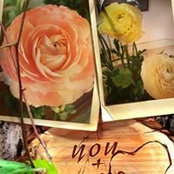 Annette Cote Fortin's photo
