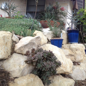 Miscellaneous Cacti & Succulent Landscapes by Rhinamic