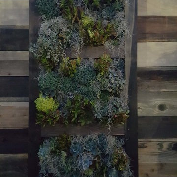 Del Mar Fairgrounds 2016 Exhibit - Garden of Wonder First Place