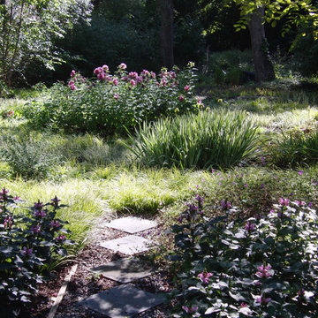Bog Garden
