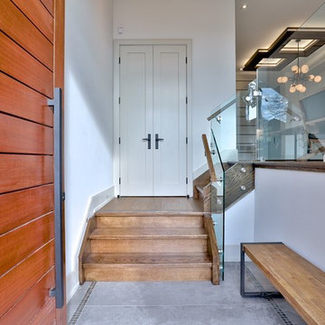MODERN/CONTEMPORARY DOORS
