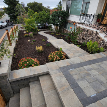 San Carlos Hills front and backyard project