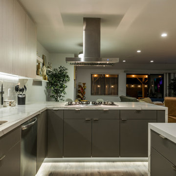 Modern Kitchen Rebirth