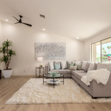 Camelback Road Staging