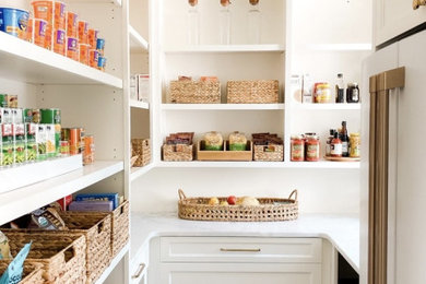 Kitchen pantry - mid-sized transitional blue floor kitchen pantry idea in Charlotte