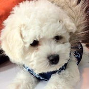 Chunhui Jiang's photo