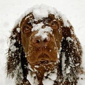 Jenni Toebben's photo
