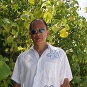 Liu Yans billede