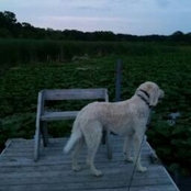 aevans3303's photo
