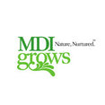 MDI Grows's profile photo