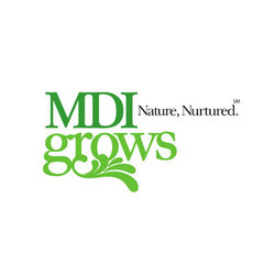 MDI Grows