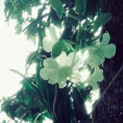 Foto de Ania P