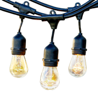Brightech Ambience Pro Incandescent Waterproof String Lights, 24' Strand