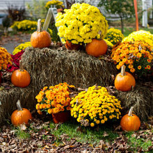 outdoor decor