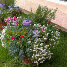 Planters