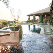 Backyard/ pool
