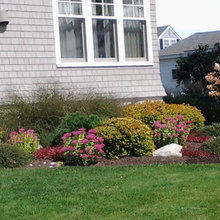 Front bed