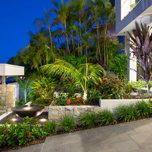 This is an example of a mid-sized tropical front yard garden in Brisbane.