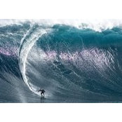 Preston Smith's photo