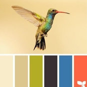 Elena Smirnova's photo
