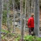 Caroline Moellering's photo