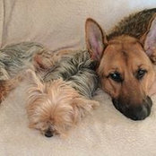 Deb Andries's photo