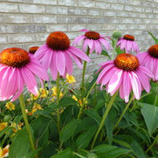 Louise Bjelobrk's photo