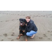 Mary Dong's photo