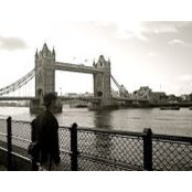 Andrew Fasciani's photo