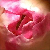 Denise Brown's photo