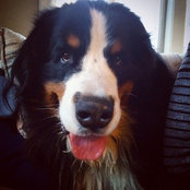 Allison S's photo