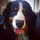 allison_stackpoole