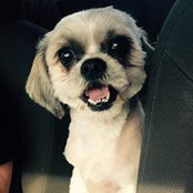 Sheila Higgins's photo